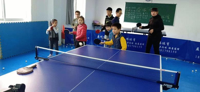 体育教育都学什么课本，深度探究体育教育的课程设置与内容
