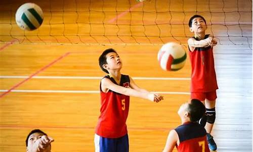 体育中考排球技能学习指南，如何高效掌握排球技巧