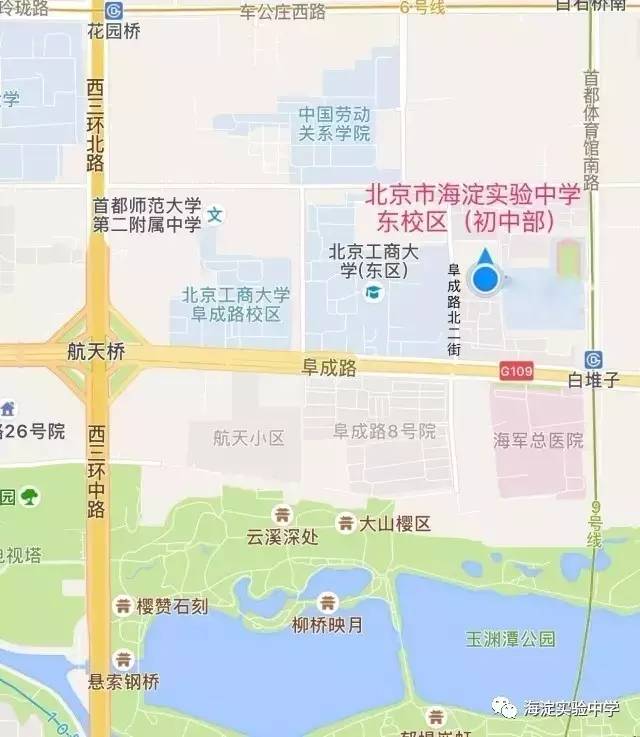 艺术生体育路线规划，发掘与培养潜力的双重路径
