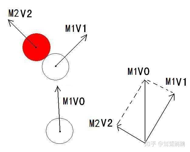 体育现象背后的逻辑与科学推导过程揭秘视频
