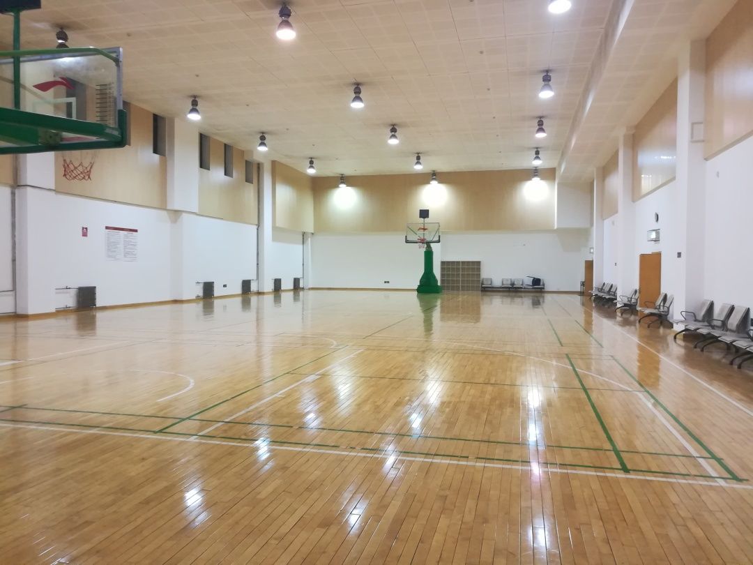 体育生理想的教室环境，融合功能性与运动氛围的理想空间
