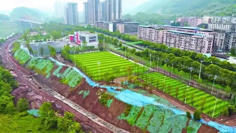 达州高家坝体育公园图片展示，绿色天地的活力四溢