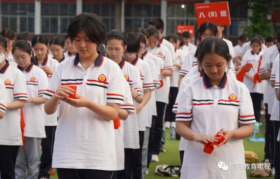 体育运动队旗收藏，荣耀与传承的象征