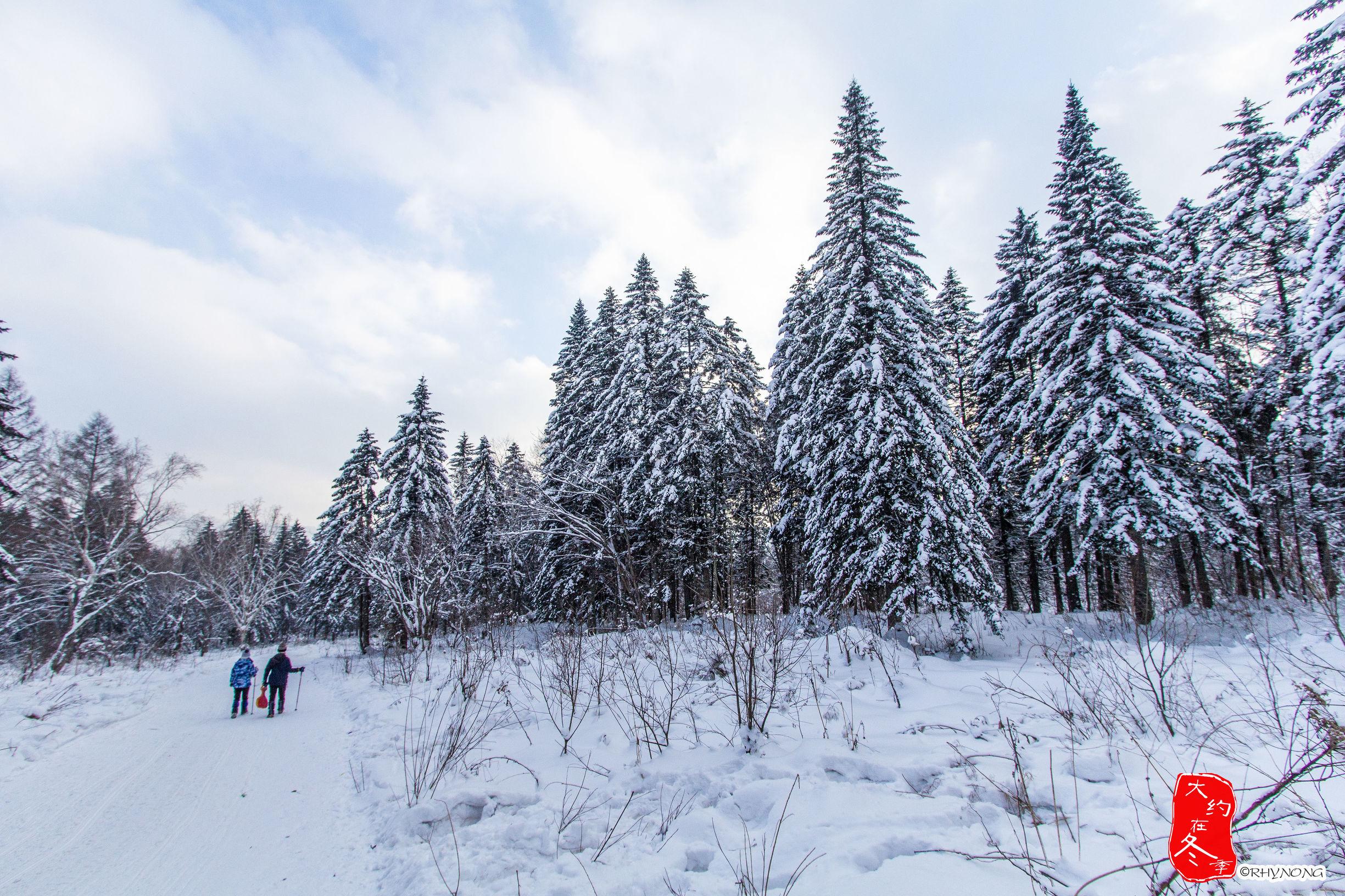 冰与雪中的体育魅力——冰上运动与雪上项目的探索