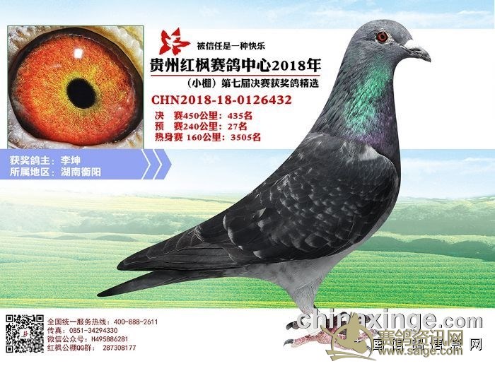 东京体育节中的鸽子，飞翔的和平使者