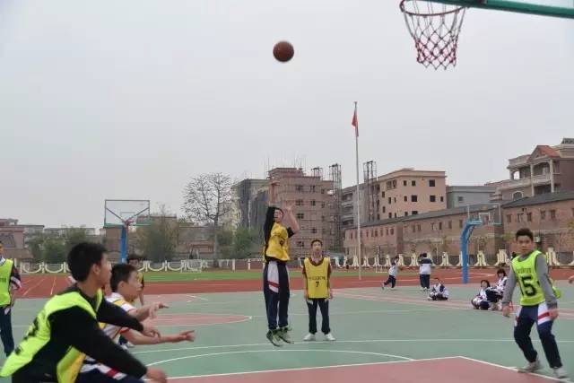 英文体育中心活动，丰富多样的运动盛宴