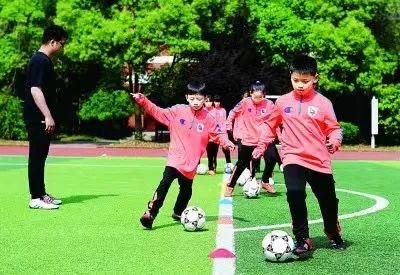 申请专业体育教练的报告