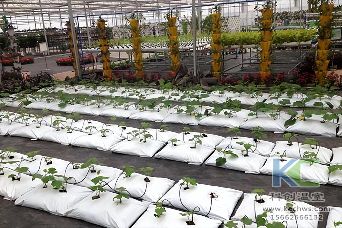江西水肥一体化育苗技术革新现代农业育苗领域，引领技术革命新潮流
