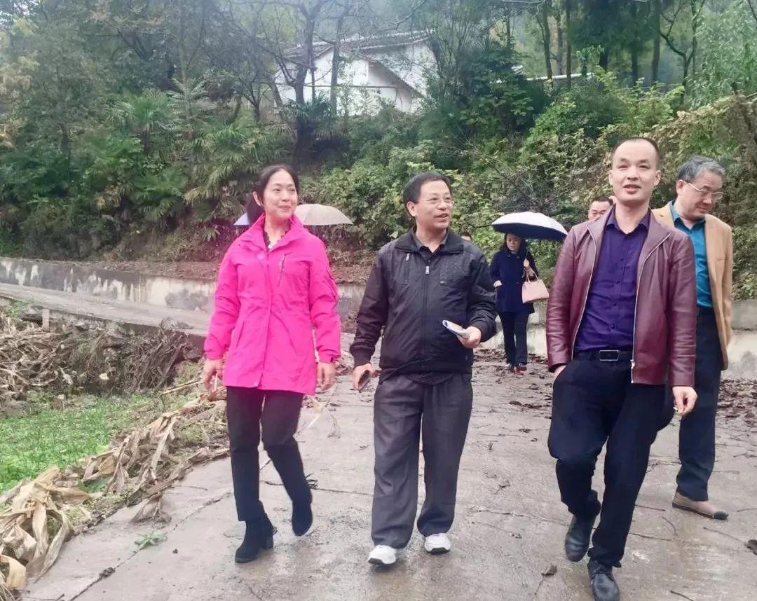 四川体育总会与脱钩转型，迈向更加自主与活力的发展之路