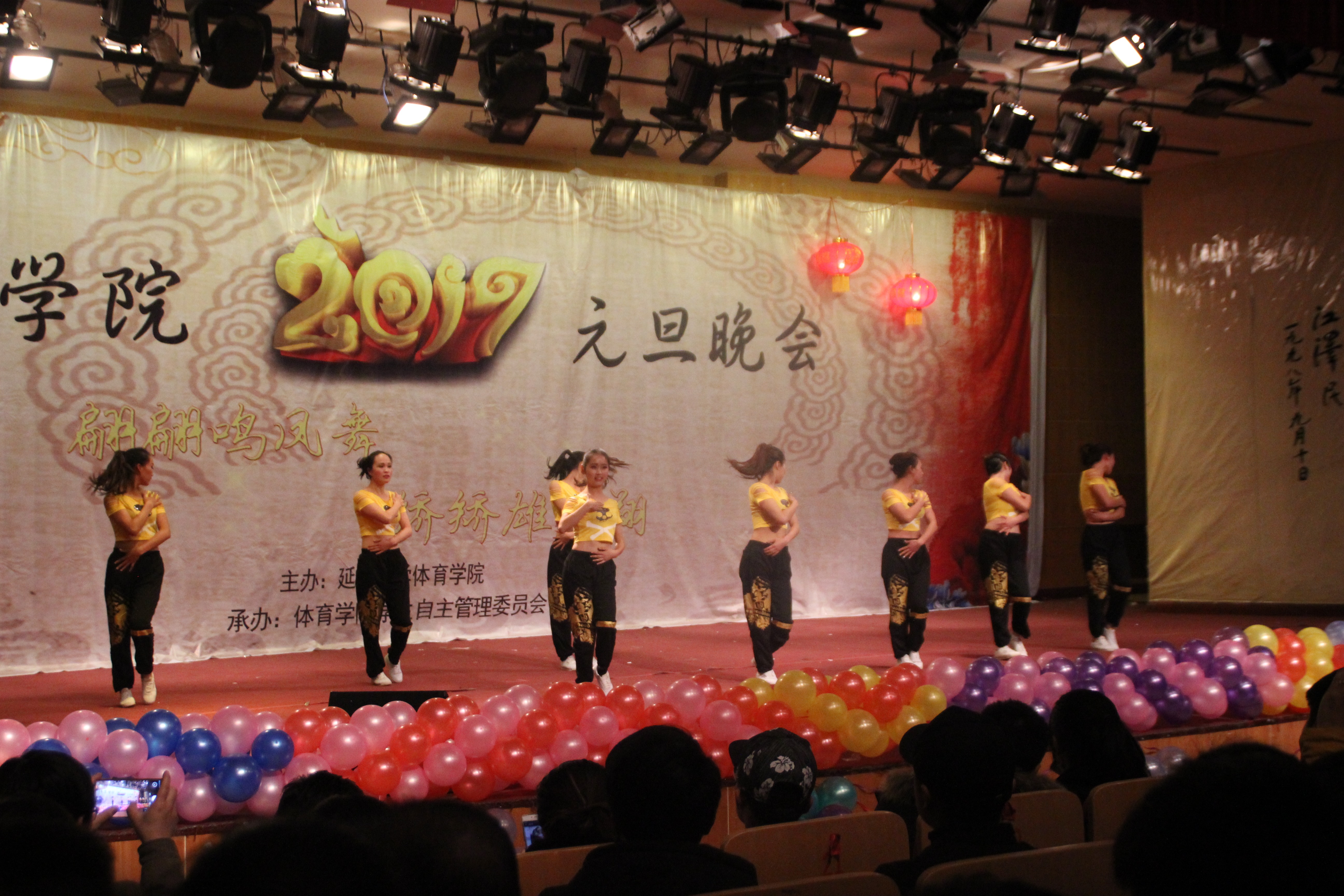体育生元旦晚会横幅，活力与激情的交汇