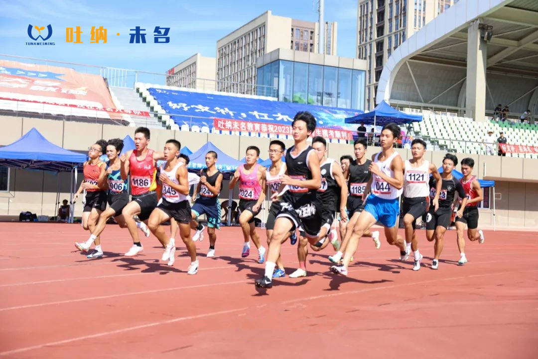 大学体育生都读什么，探索体育专业学生的多元化阅读世界