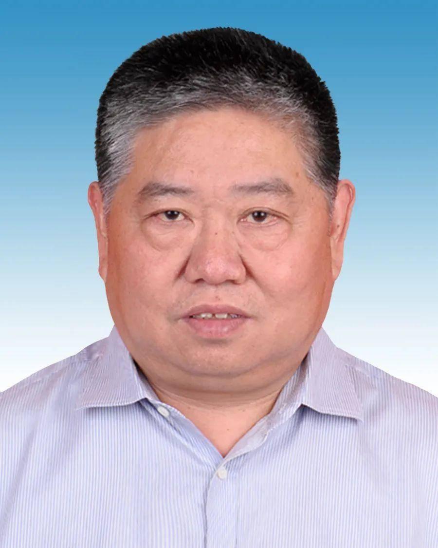 体育信息的含义与特点深度解析