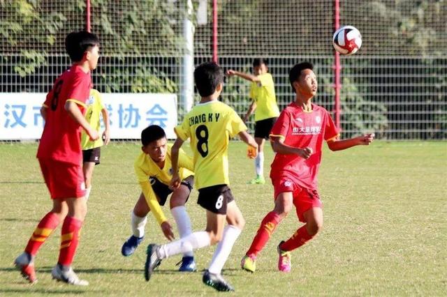 关于举办第四届中青赛暨2025年四川省青少年足球联赛U13组的通知