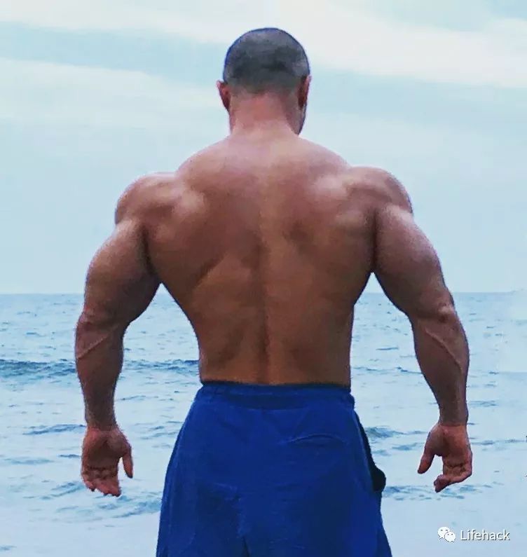 背影中的力量，体育生与肌肉男的魅力
