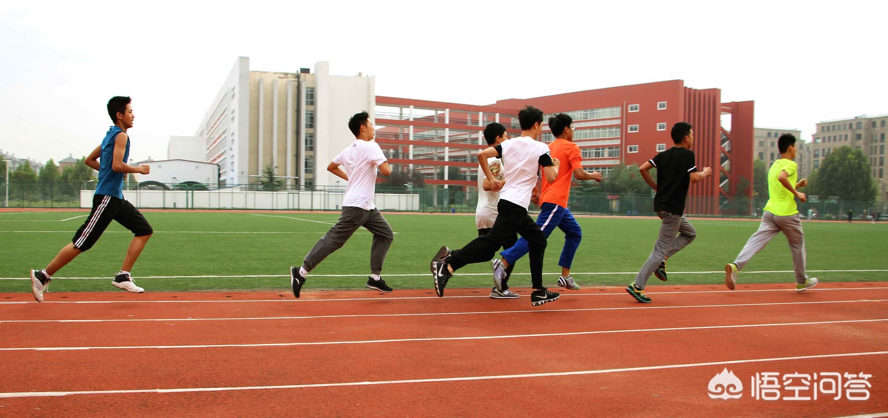 体育专业转入大学的难度深度解析与策略建议