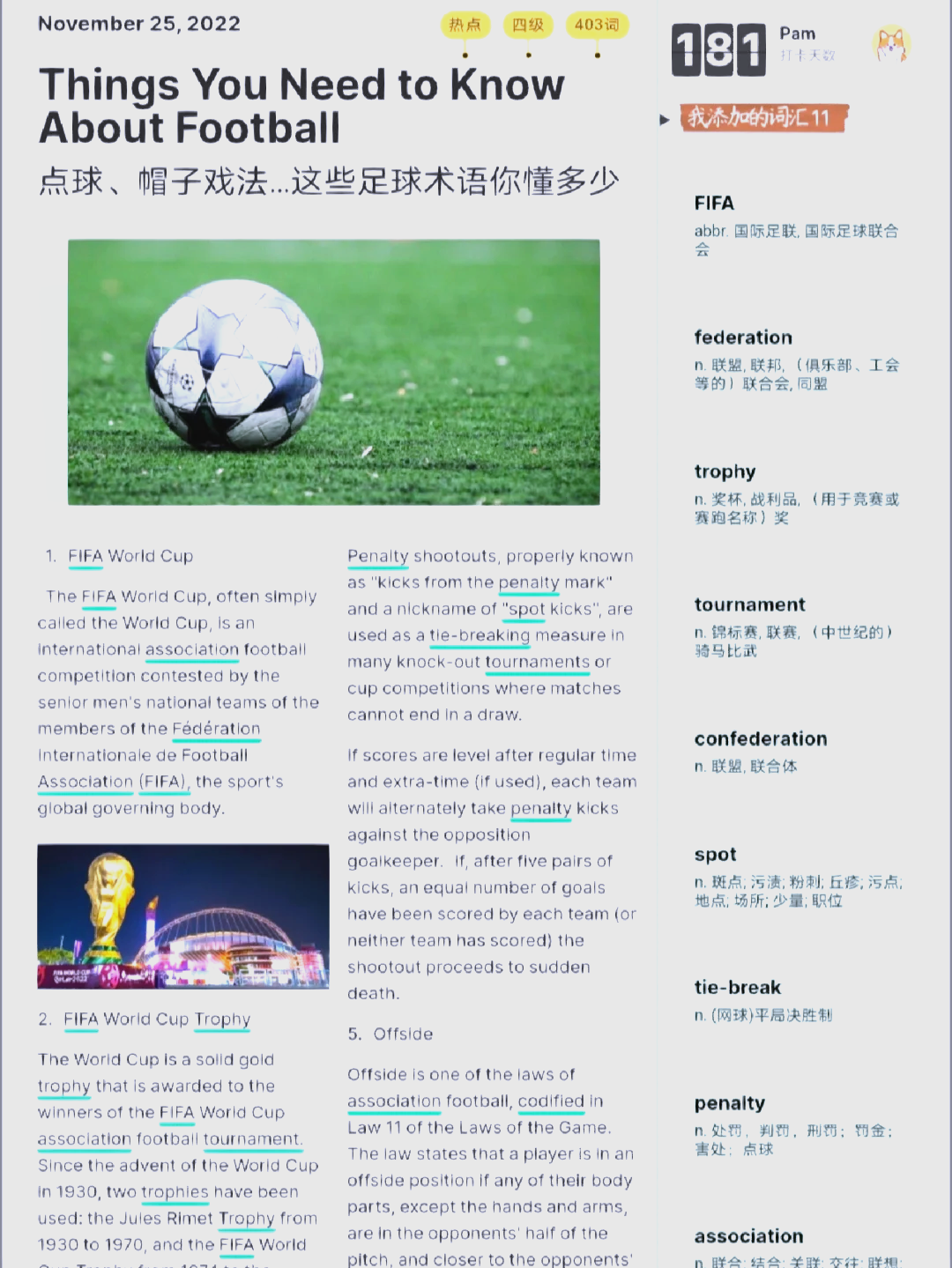 体育解说专业术语与表达方式解析指南