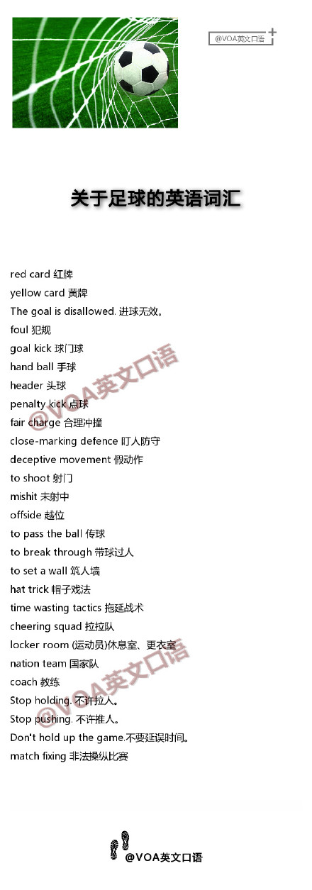 关于体育解说的词语英文，专业术语与表达方式解析