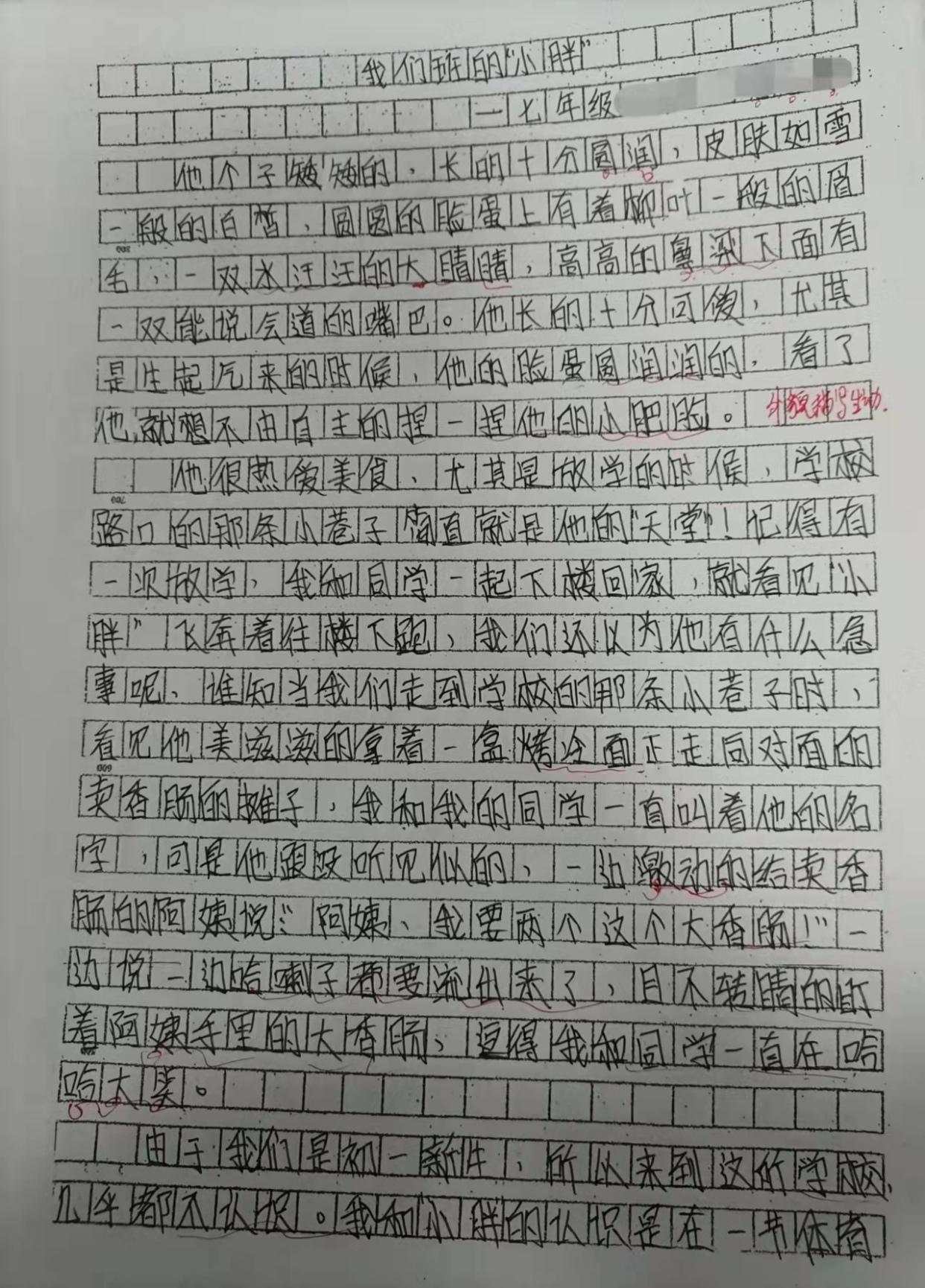 闪耀的体育辉煌，骄人成绩背后的故事