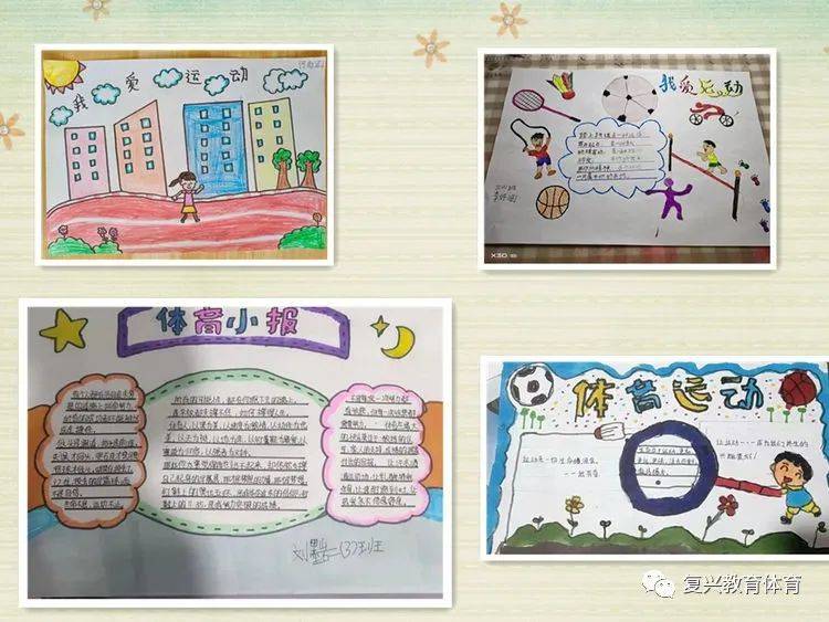 小学家庭体育教育内容，塑造健康成长的未来之星