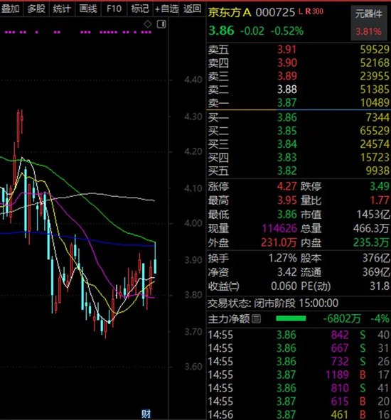 体育股票龙头解析，探寻行业巨头