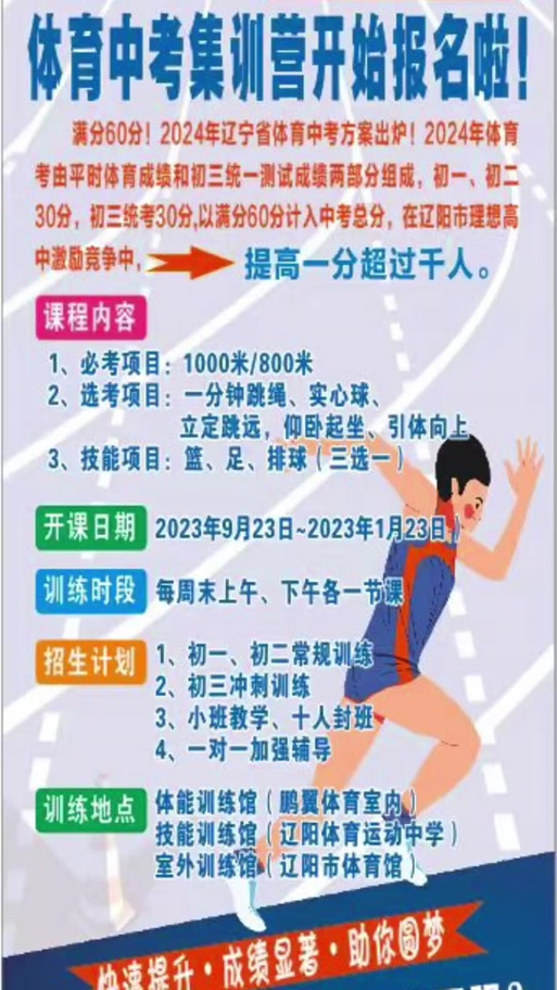 辽宁体育满分标准与高分数段的深度探讨