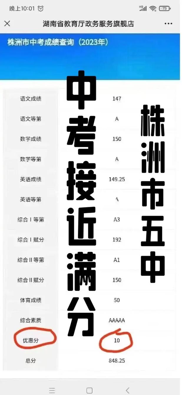 株洲中考体育总分解析，得分点及影响因素探讨