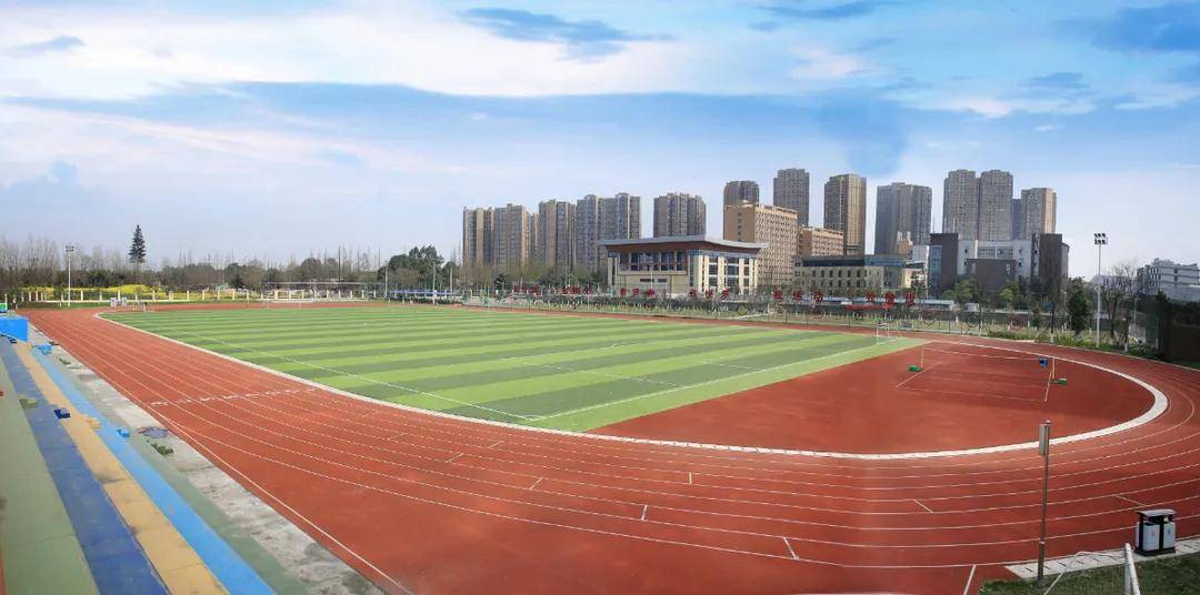 容城体育操场全图高清，展现现代运动场所的魅力