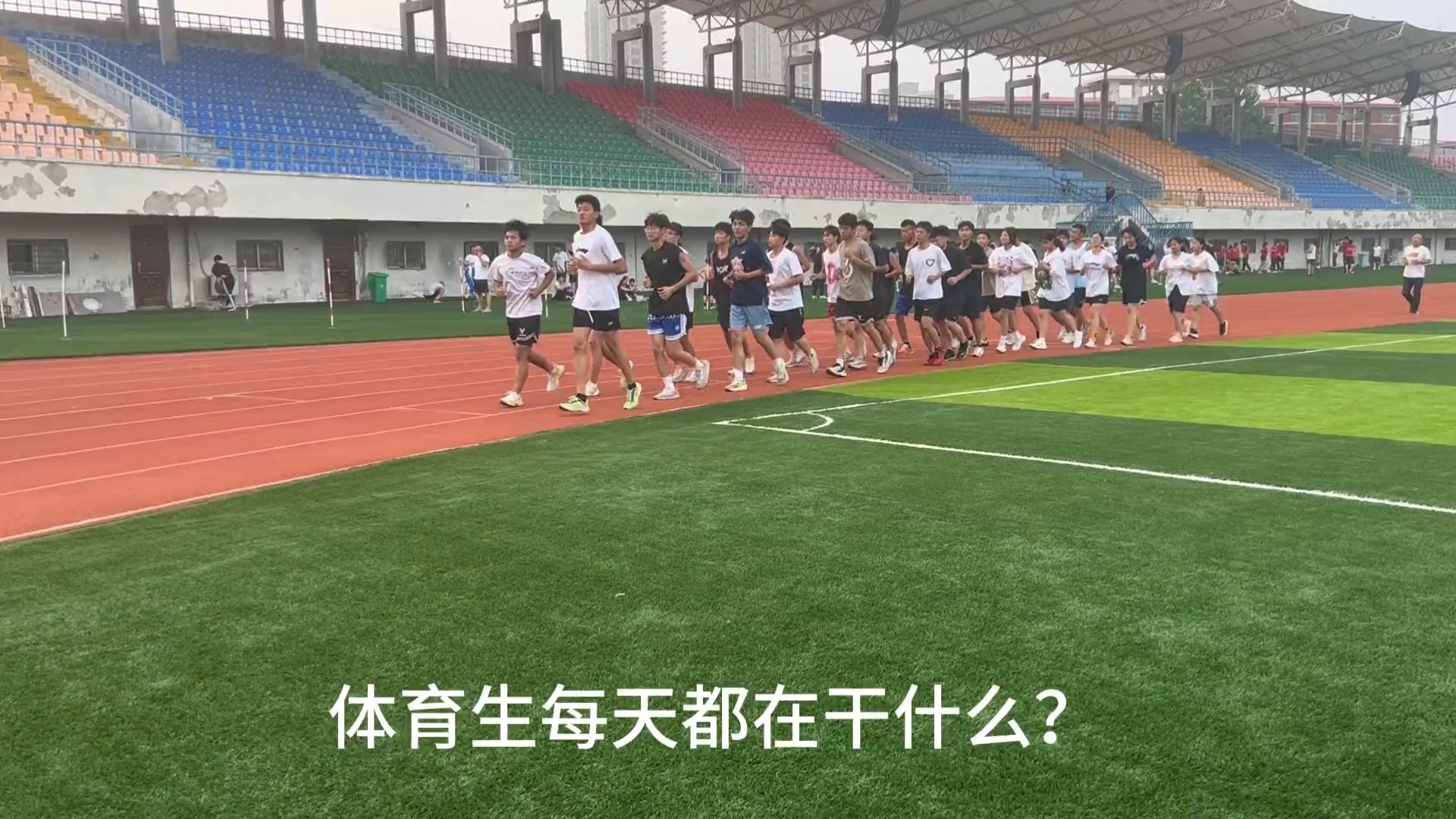 体育生未来做什么挣钱，多元化职业路径的探索与实践