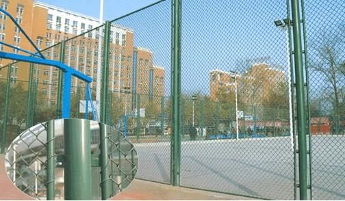 大连安平体育场围栏——现代体育建筑的典范