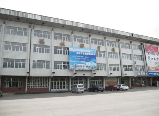 鹤城体育场商铺，商业繁荣与体育活力的交汇点