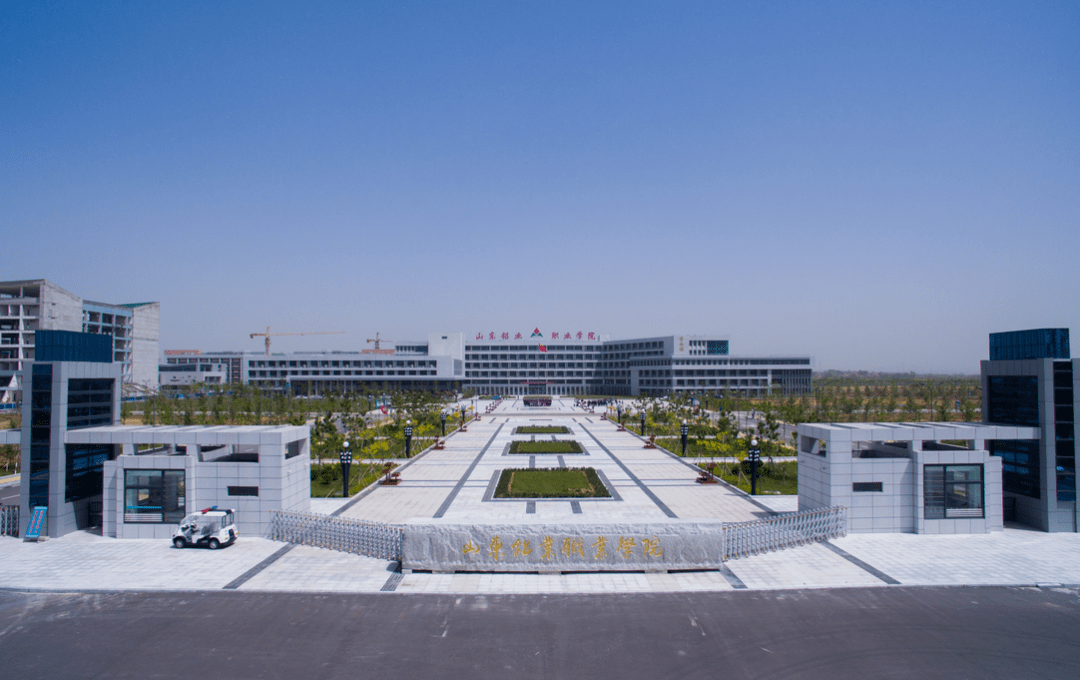 铝业职业学院体育，培养身心健康的未来工业领袖