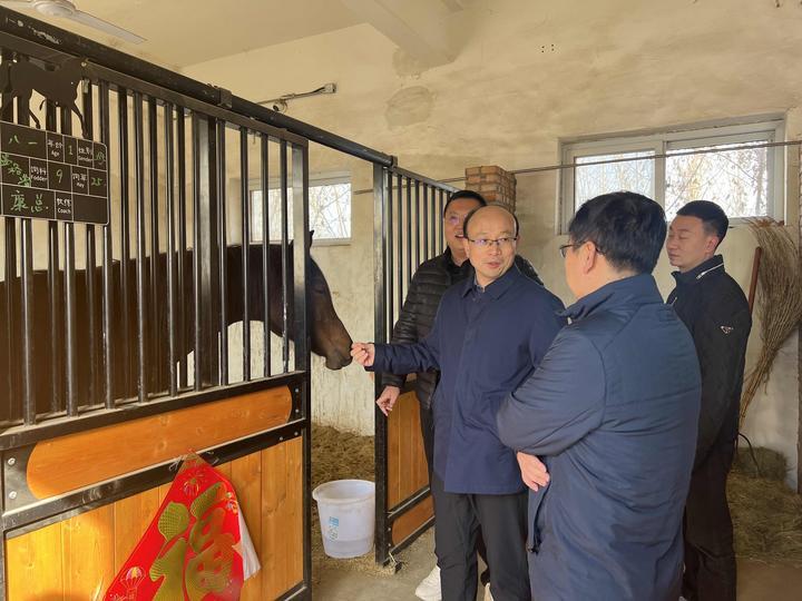 农村体育文化发展的研究