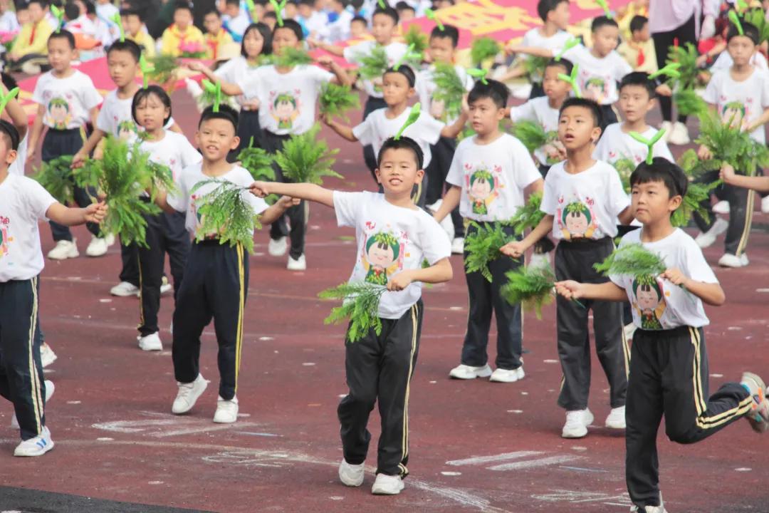 中山体育学习胜地探索，追寻运动梦想的起点