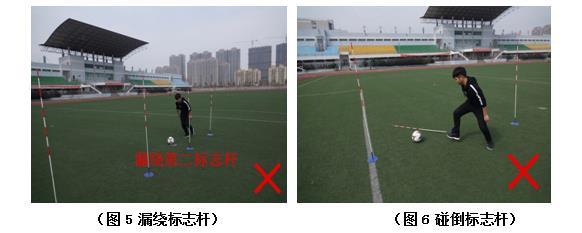 当今的体育社会现象，多维度视角下的观察与思考