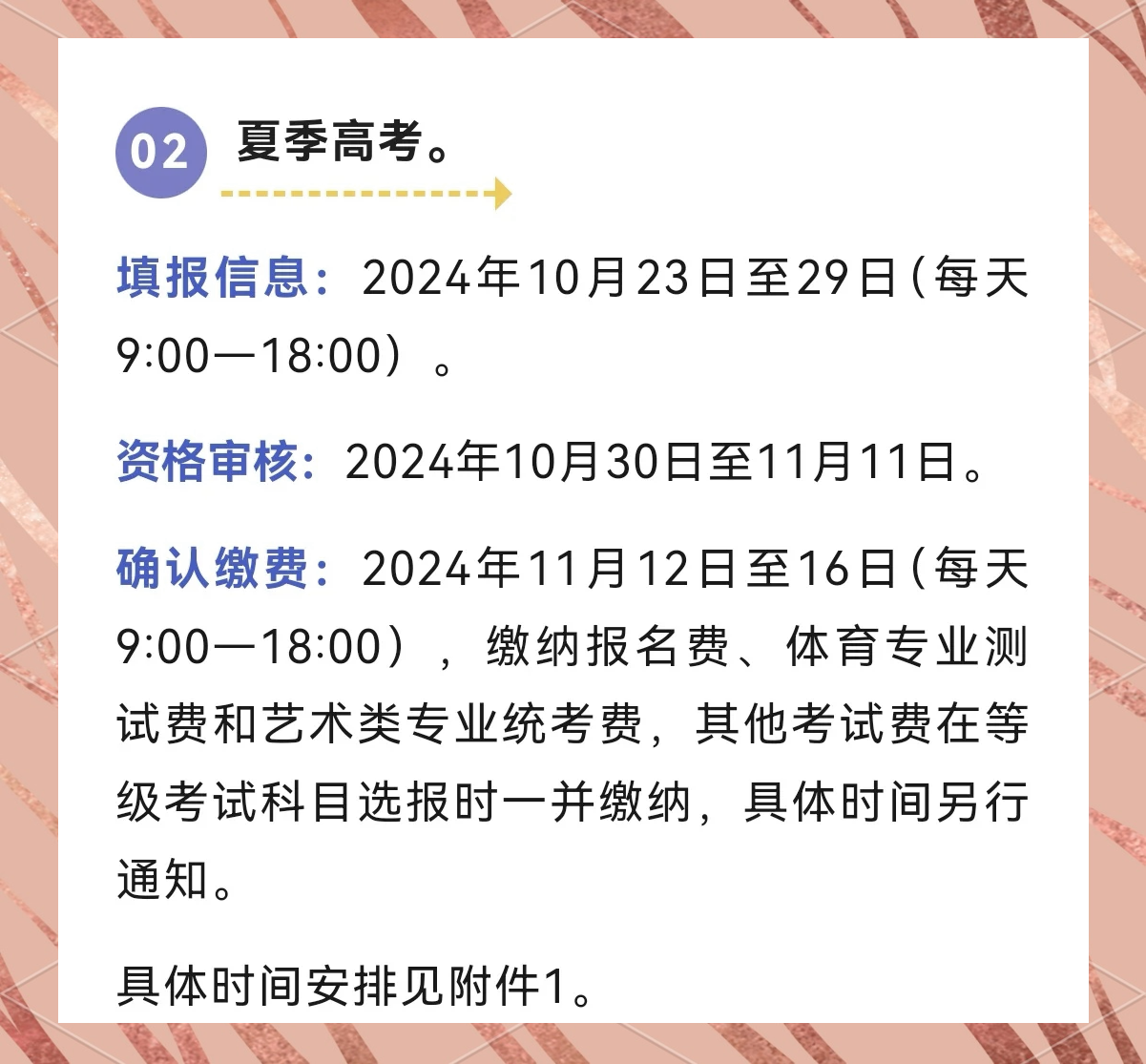 什么时候报考体育高考，全面解读与策略建议