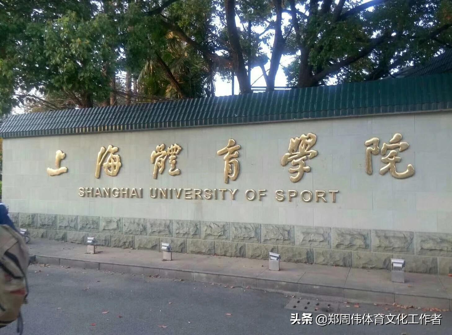 探索三百多的体育学院，培养体育人才的摇篮