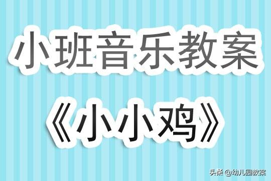 体育小鸡去做客活动的深度反思