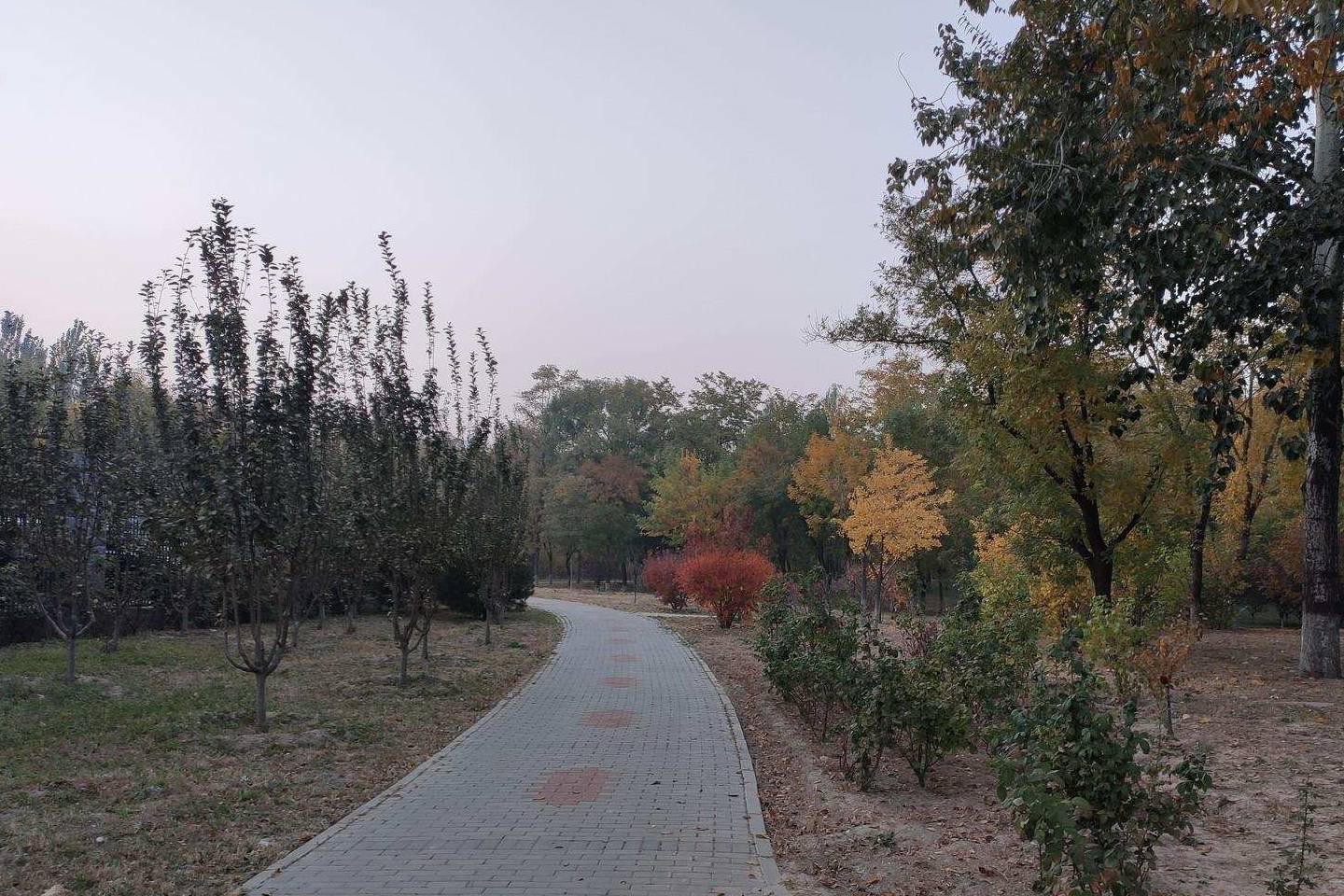 太阳宫体育公园，面积与活力的完美融合