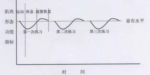 体育生训练影响因素解析