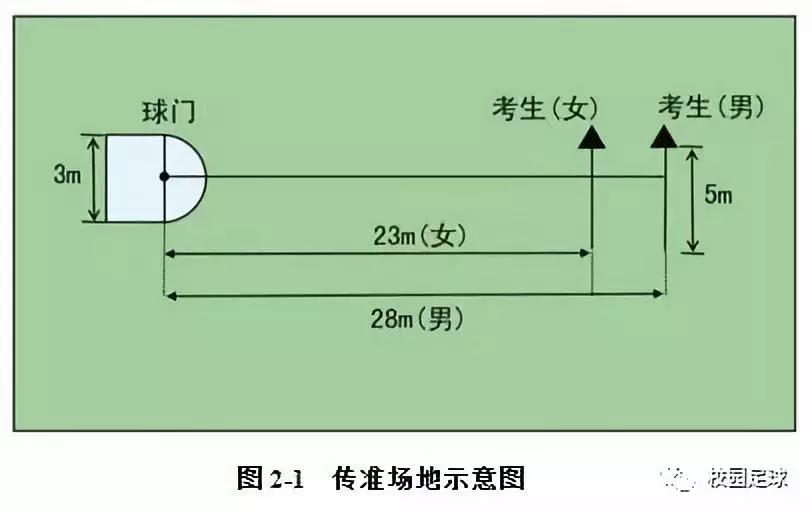 体育单招篮球传球配合，构建高效战术体系的核心要素