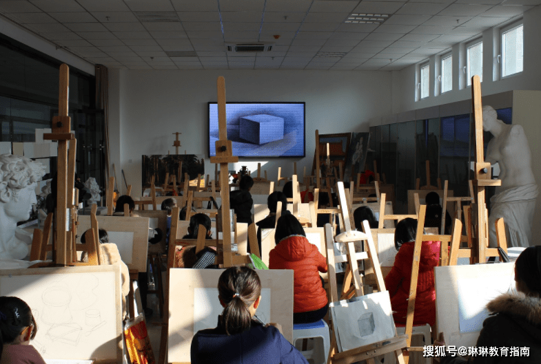 小众体育培训鄙视链，探寻背后的真相与挑战