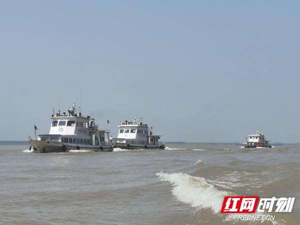 岳阳体育场围网采购，细节决定采购成败