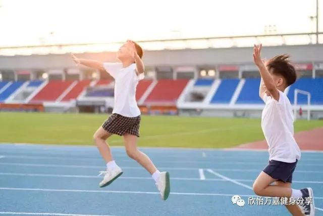 运动健身与体育训练，塑造健康与卓越的关键要素