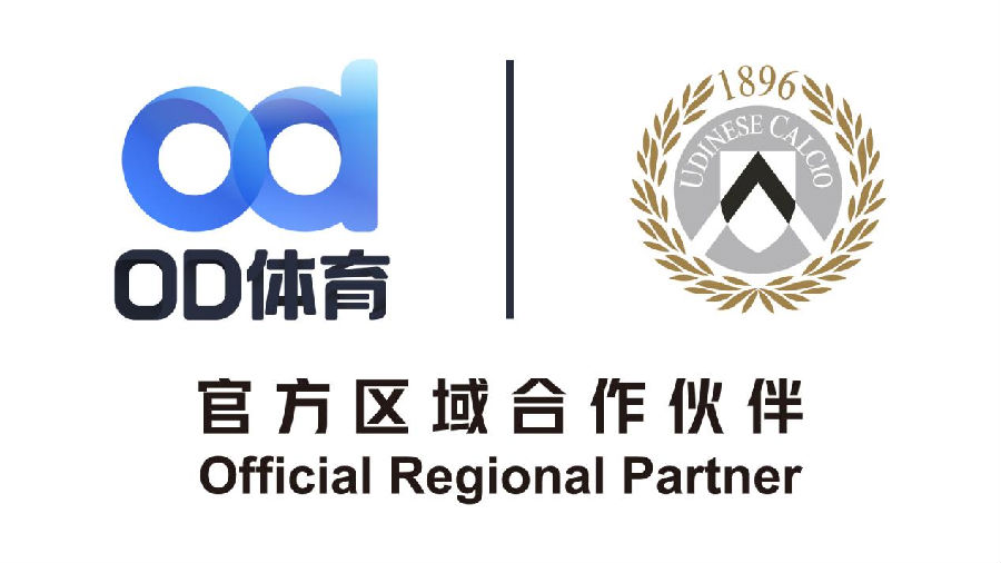 数字体育公司名字，探索现代体育产业的数字化之路