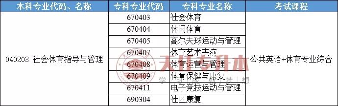 体育统考考大专还是本科，探讨体育考试与学历教育的关系