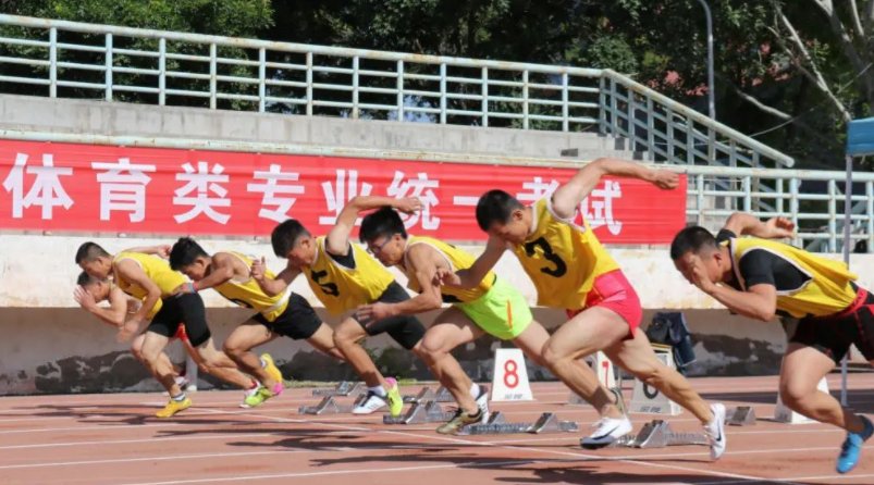 体育统考考大专还是本科，探讨体育考试与学历教育的关系
