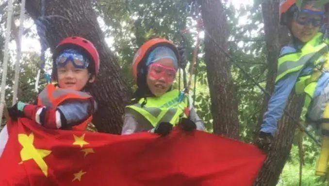 体育专业课报名网站，一站式服务平台与未来展望