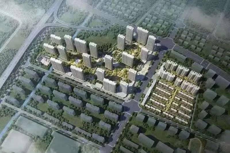 体育学校发展定位探析