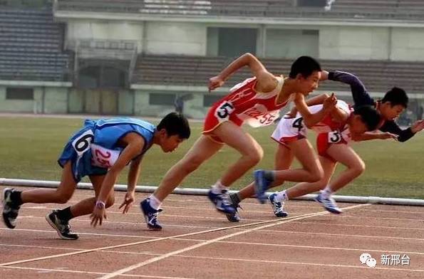 体育周与校运会，一场校园内外的运动狂欢
