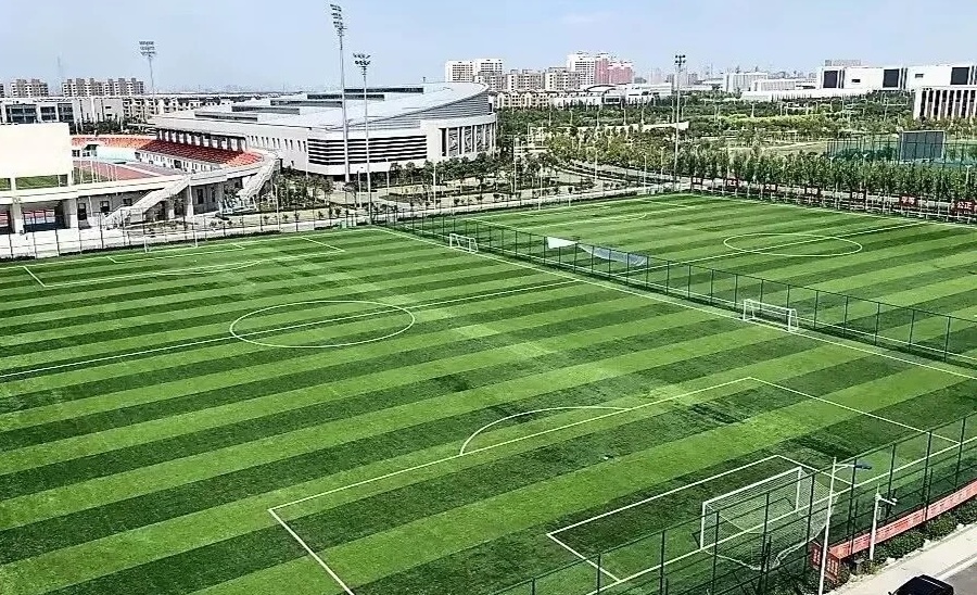 天津体育学院相片照，定格青春，记录美好瞬间
